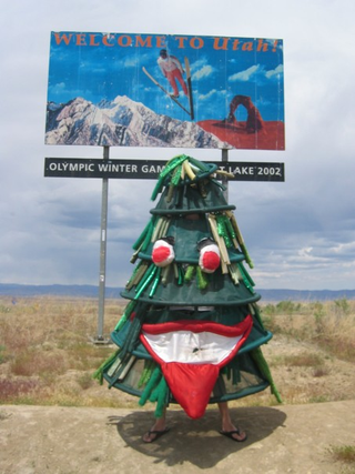 Illustration for article titled The Stanford Tree Is Officially Out Of Control